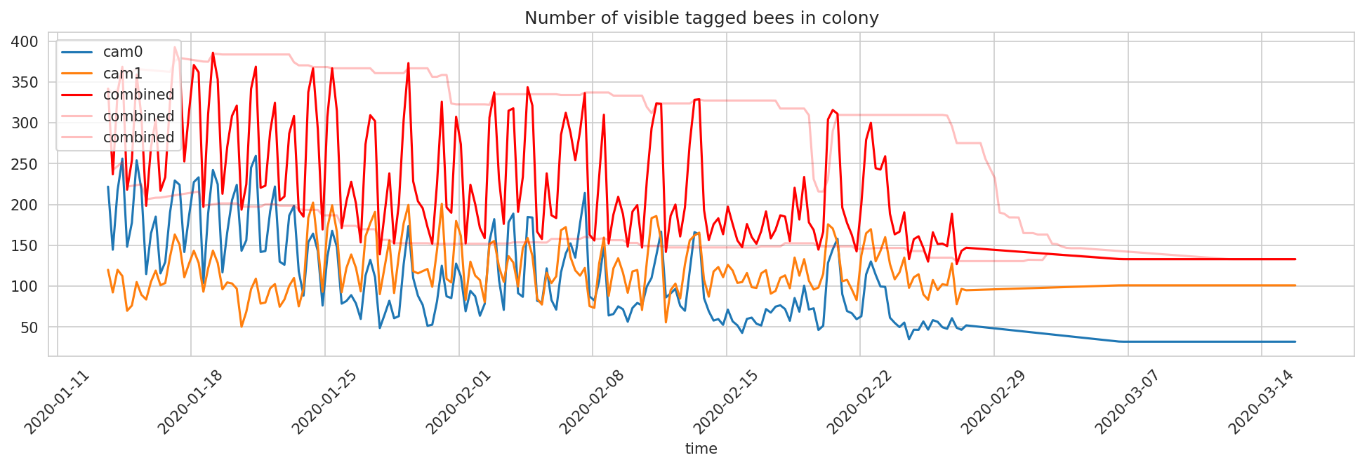 bees_detections live preview